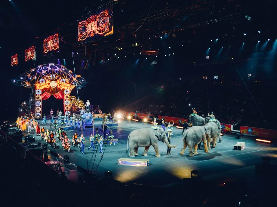 Circus' history
