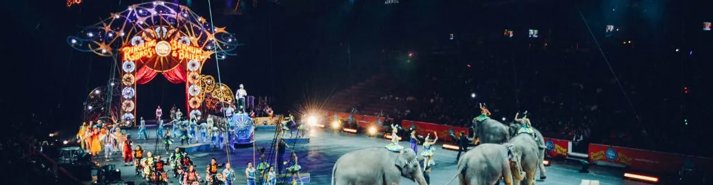 Circus' history